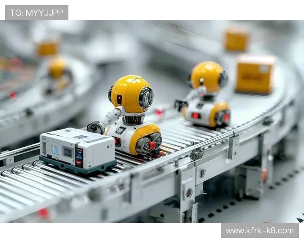 K8凯发线上官网的安全保障措施与用户隐私保护策略分析