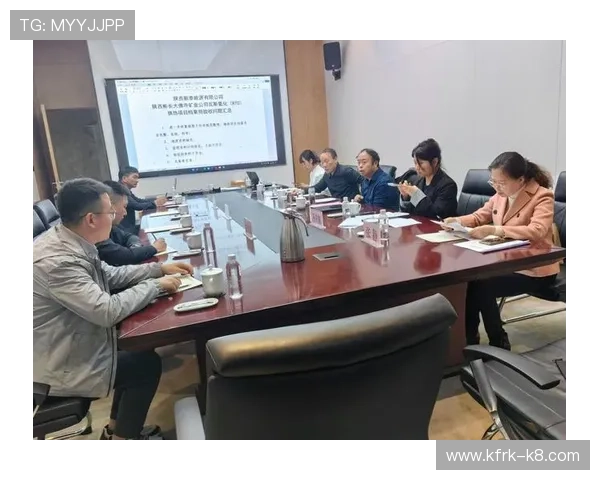 k8凯发国国际入口平台介绍，全面解析其安全性、稳定性及用户体验提升方案