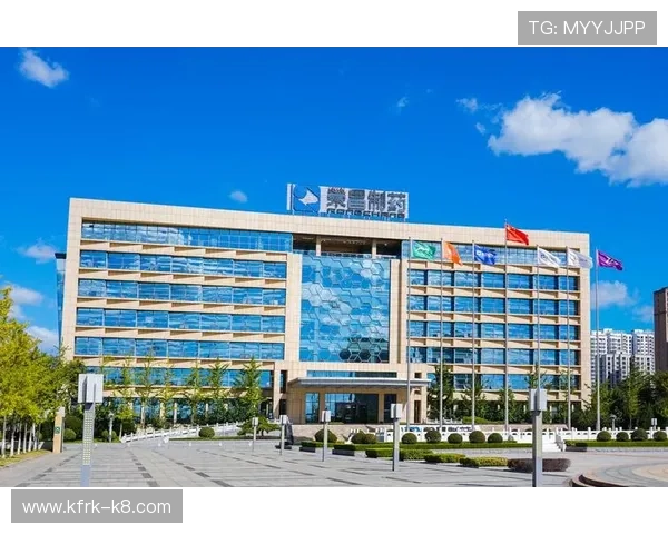 凯发集团官网首页网址官方入口链接，提供最全面的访问指南确保用户顺畅登录